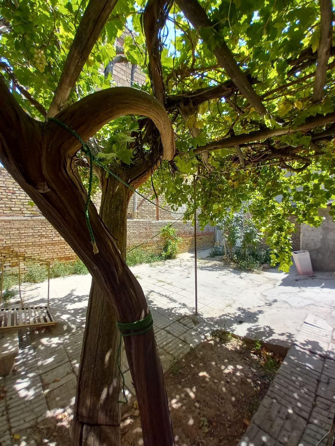 تصویر ۷ از سوییت ویلایی دربست و تمیز