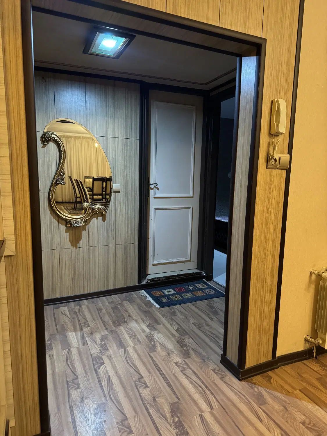 تصویر ۹ از دربست vip / پارکینگ / اول هاشمیه