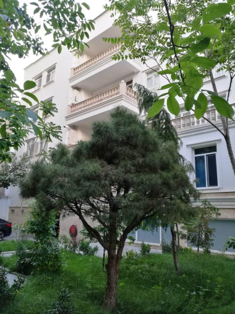 تصویر ۱۹ از آپارتمان مبله ۱۸۰م ۳خ نوساز فرشته/استخر سونا جکوزی