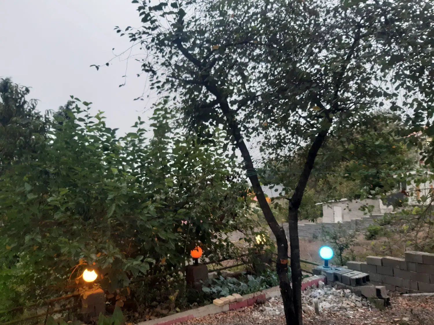 تصویر ۹ از اجاره سوییت شبانه