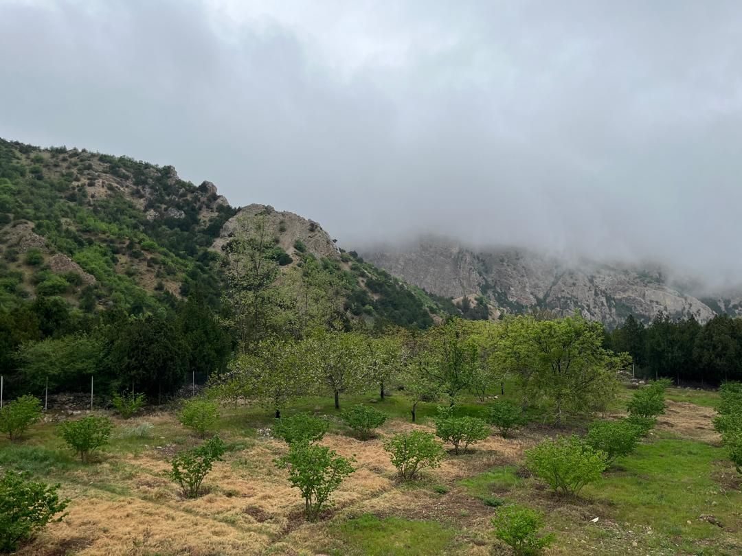 تصویر ۱۲ از کلبه یک خوابه تنبوران