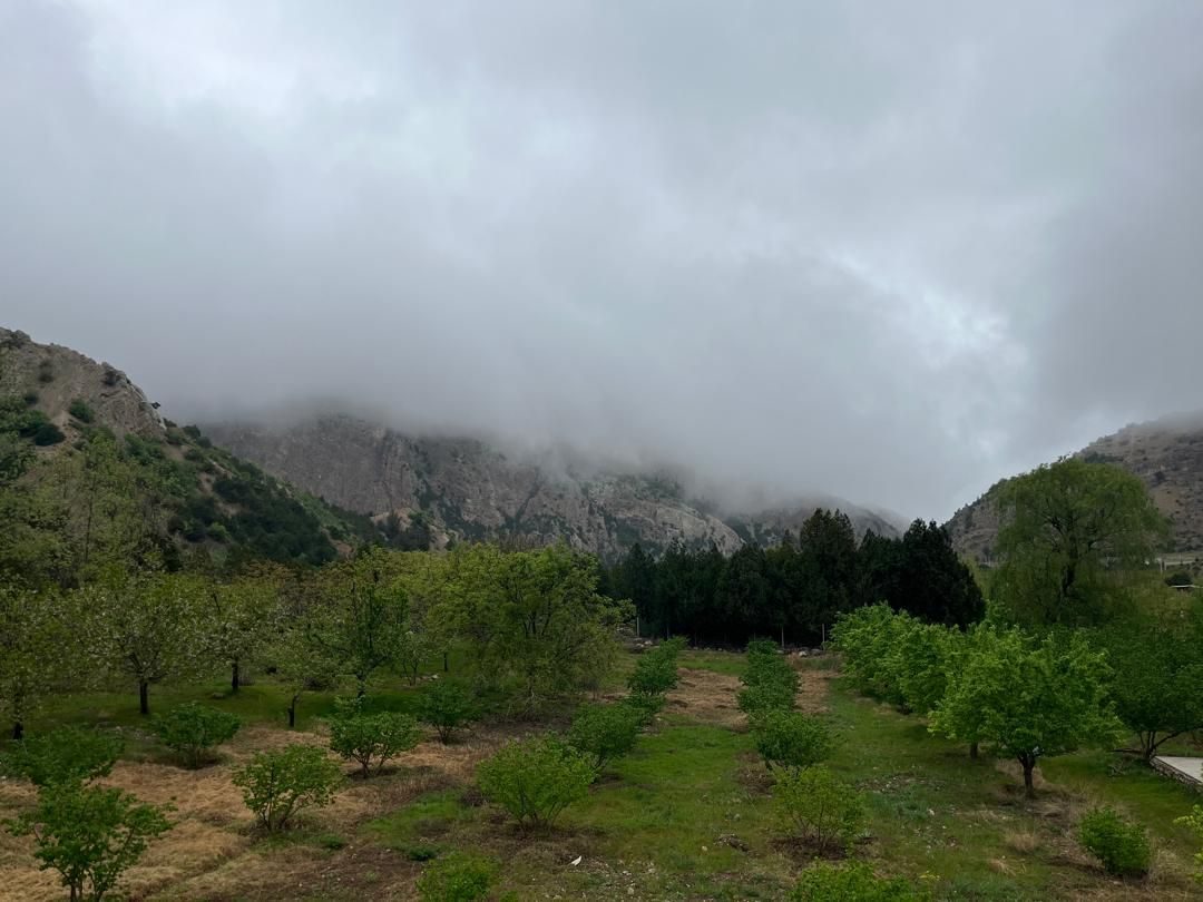 تصویر ۱۰ از کلبه یک خوابه تنبوران